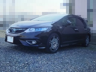 �r�����f���i�`�c�d�@���ʐ^